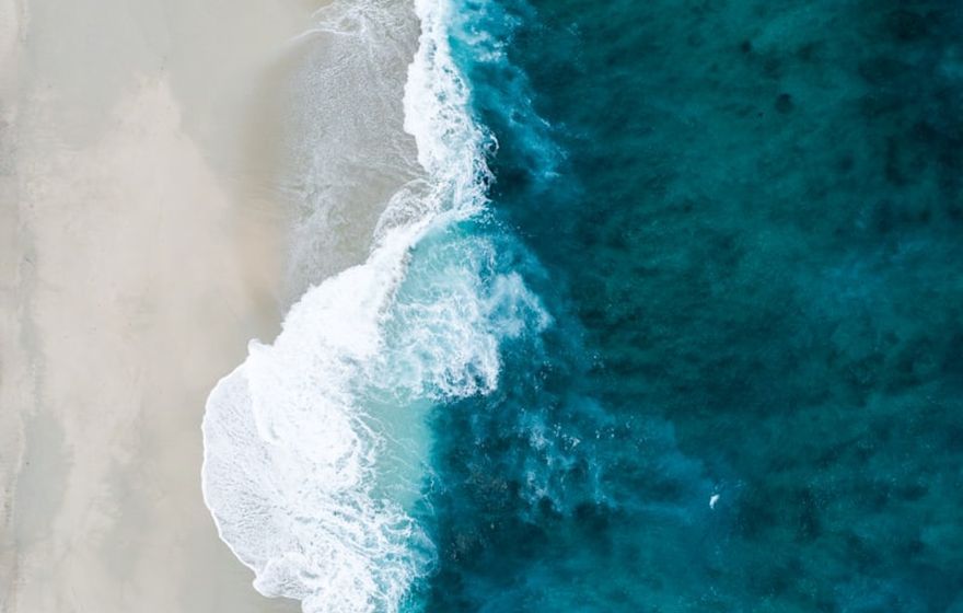 North Shore Surf Co. - concept website preview